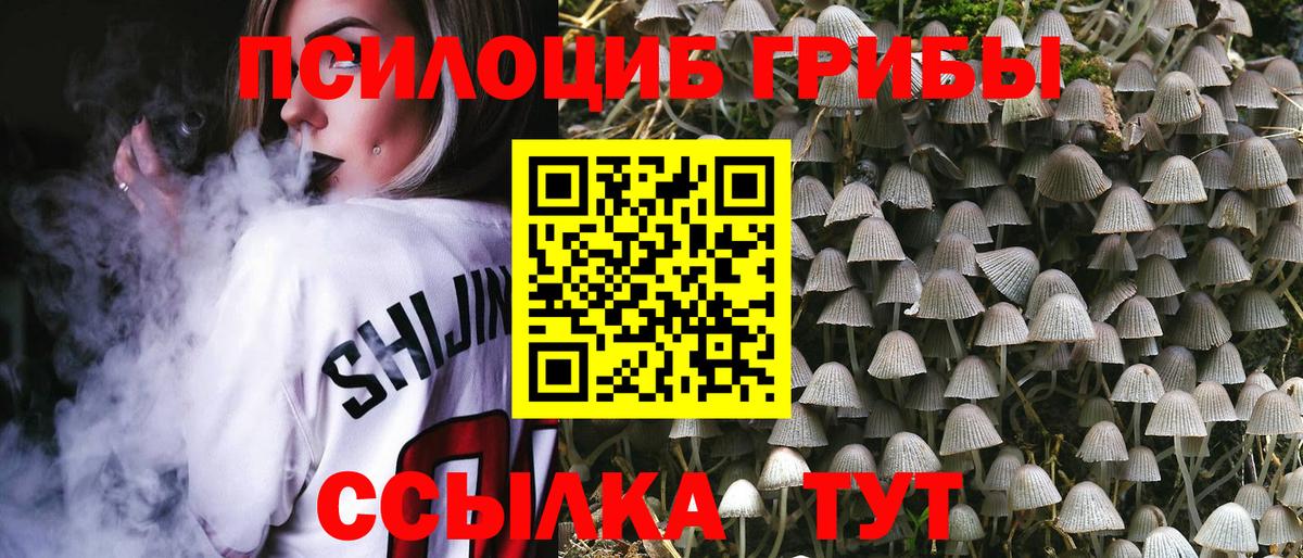 Галлюциногенные грибы Psilocybine cubensis Саки